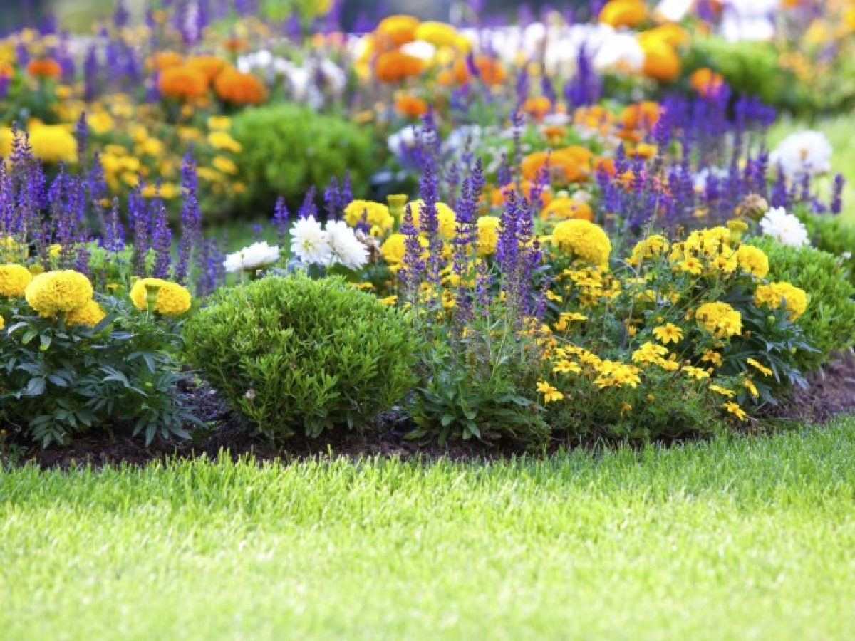 Giardino: regole e trucchi