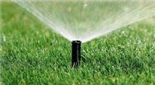 Giardino: regole e trucchi