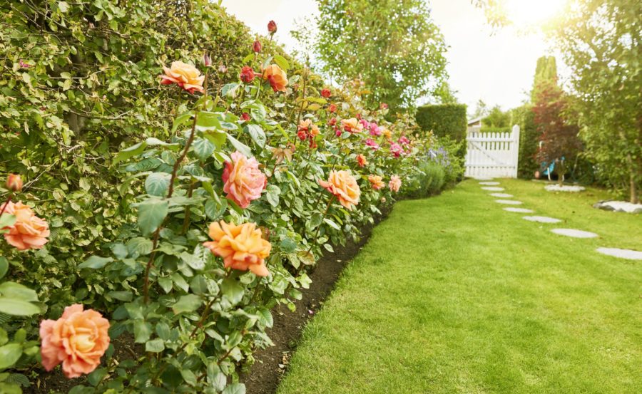 giardino appartamento